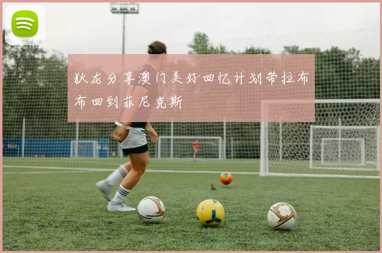 狄龙分享澳门美好回忆计划带拉布布回到菲尼克斯